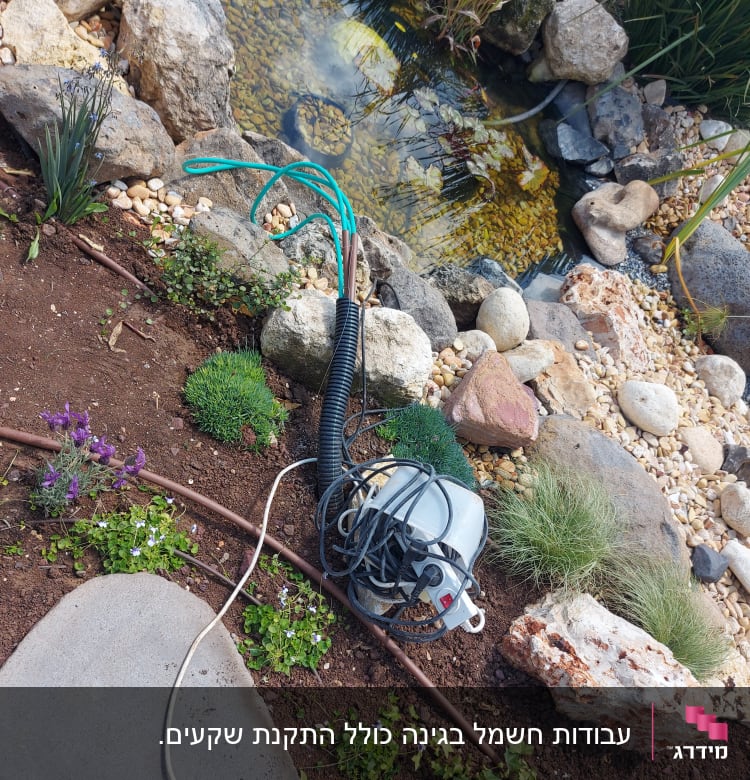 כבל חשמלי ומכשיר ליד בריכת דגים